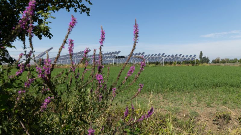 agrivoltaisme bretagne